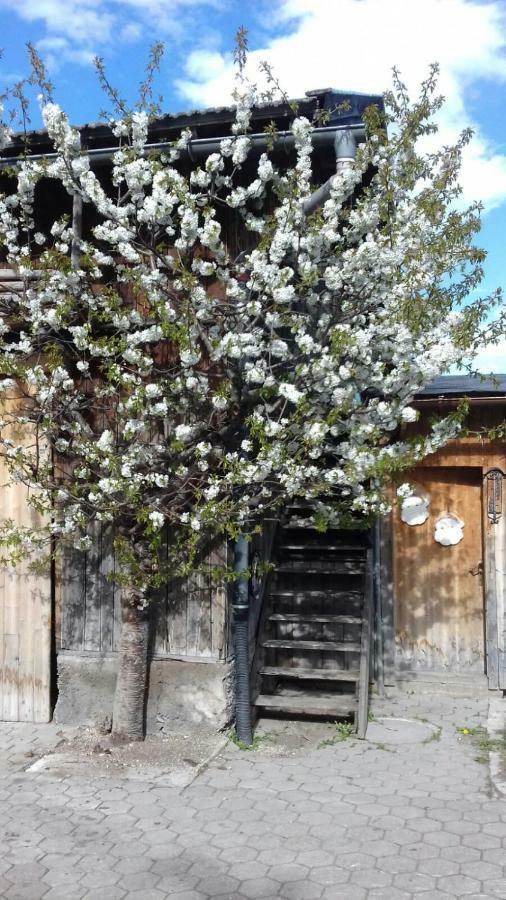 Appartamento Thoamlhof Leutasch Esterno foto