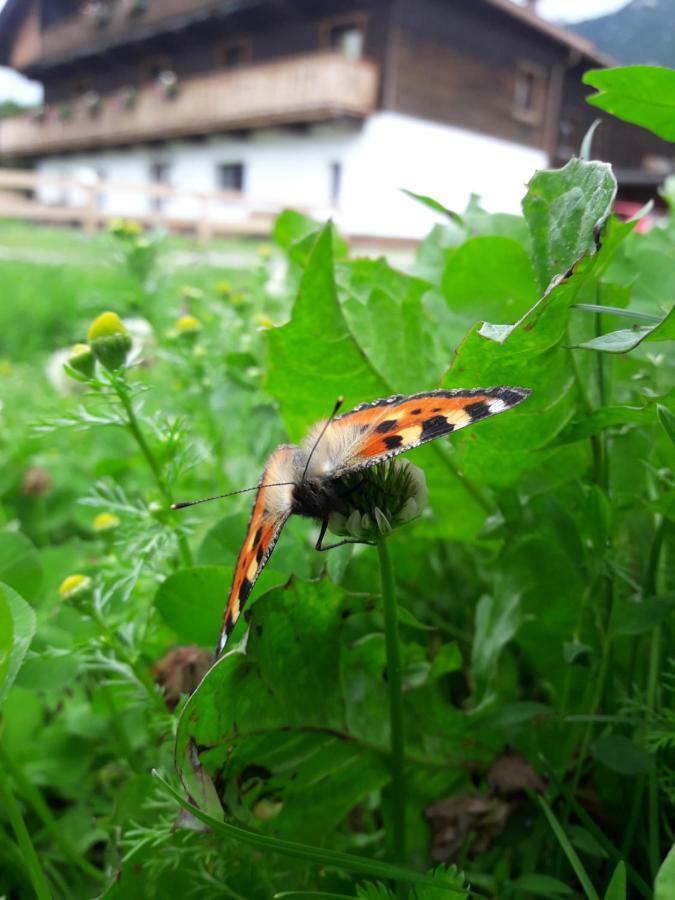 Appartamento Thoamlhof Leutasch Esterno foto