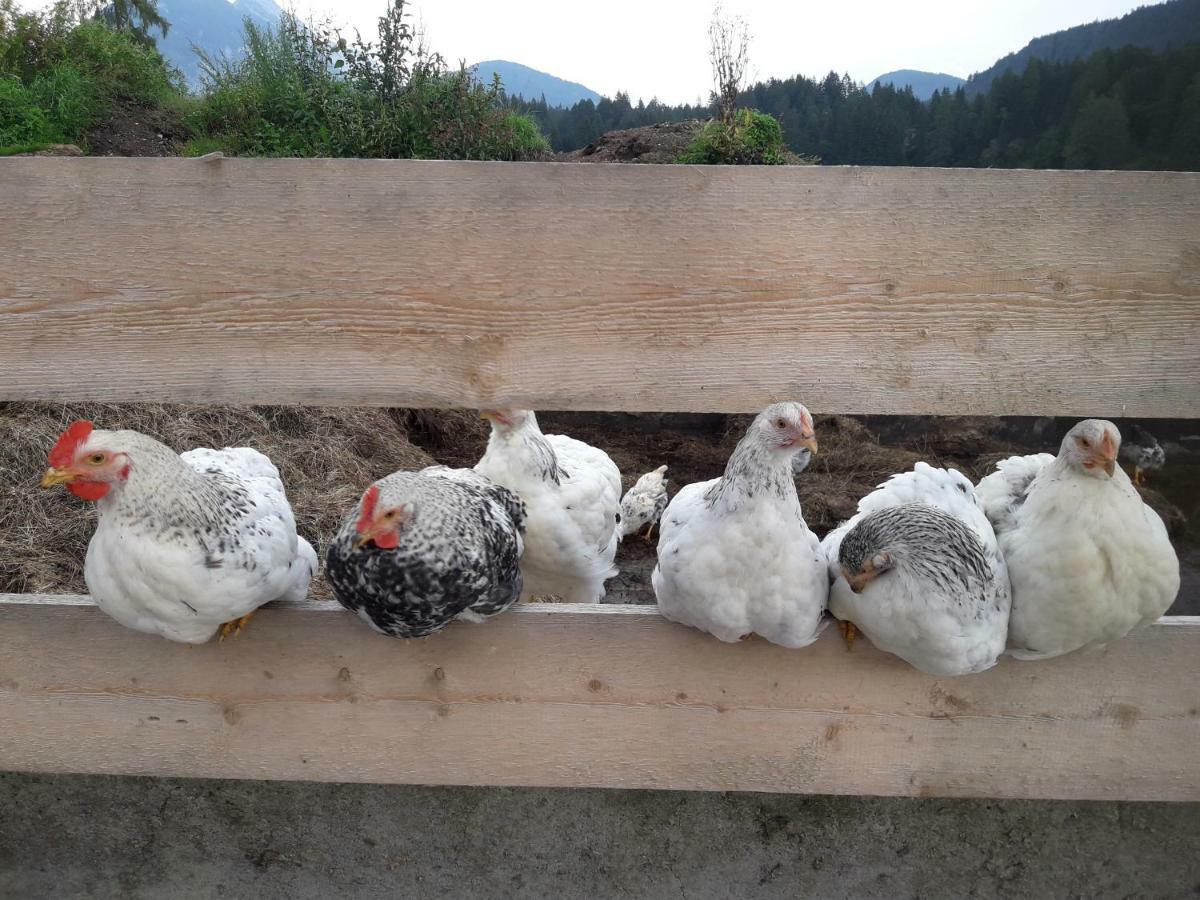 Appartamento Thoamlhof Leutasch Esterno foto